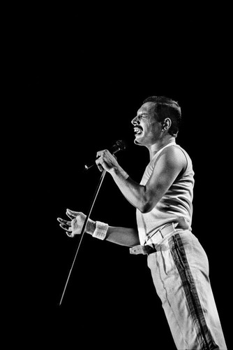 Freddie mercury queen - queen, pop