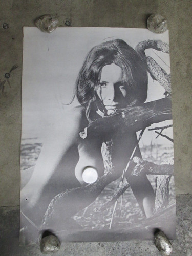 Poster cantante rock star