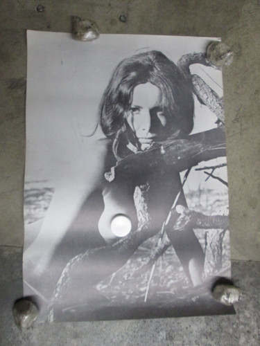 Poster cantante rock star